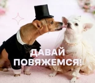 Давай повяжемся! 1 выпуск 14.12.2024