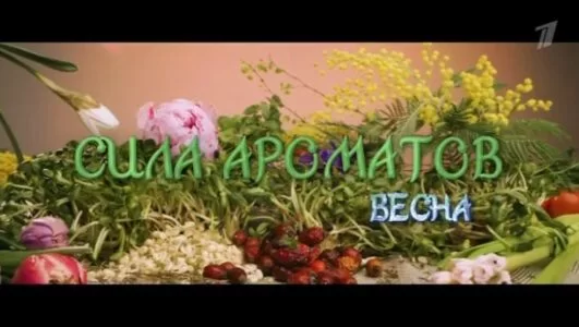 Сила Ароматов. Весна 27.04.2025