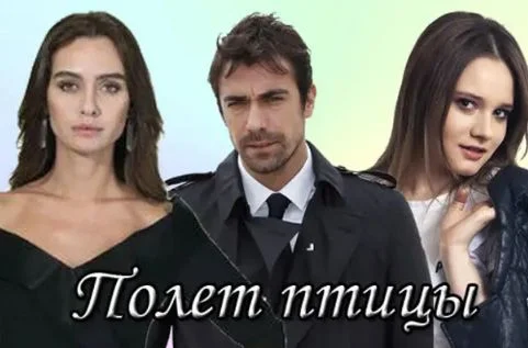 Полет птицы (Сериал 2025) все серии