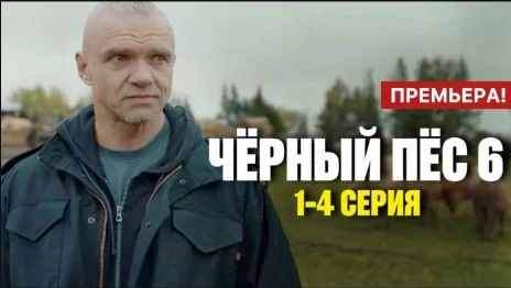 Черный пес 6 сезон 1, 2, 3, 4 серия, все серии
