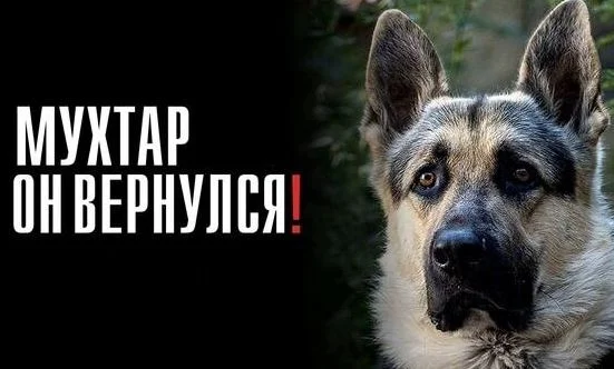 Мухтар Он вернулся 1 - 20 серия